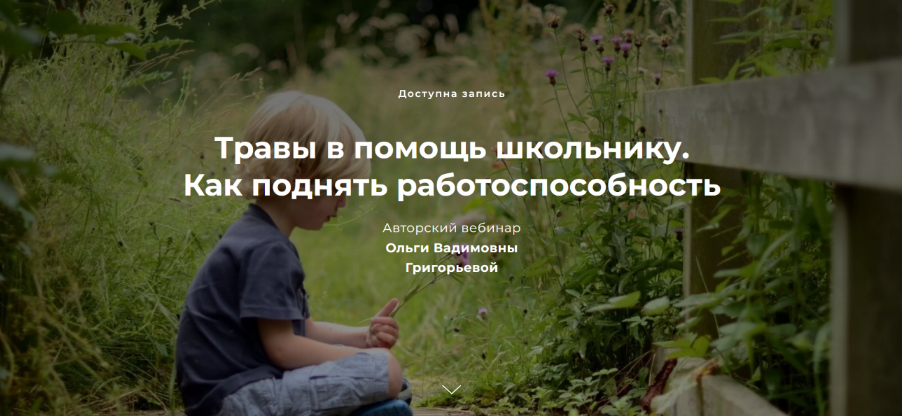 [Ольга Григорьева] Травы в помощь школьнику. Как п_0.png